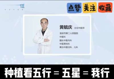 中药材淫羊藿怎么种？听专家一次讲明白！不挑地块好管理，耐寒耐旱省心省力，新手也能轻松上手，药用价值高、市场需求稳，妥妥的增收好品种～ 从生长习性到采收要点，干货满满无废话，种植疑问直接问，一对一答疑解