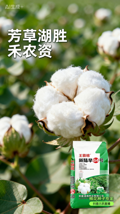 新疆棉花澳棉种业王霸棉，还有其它都好