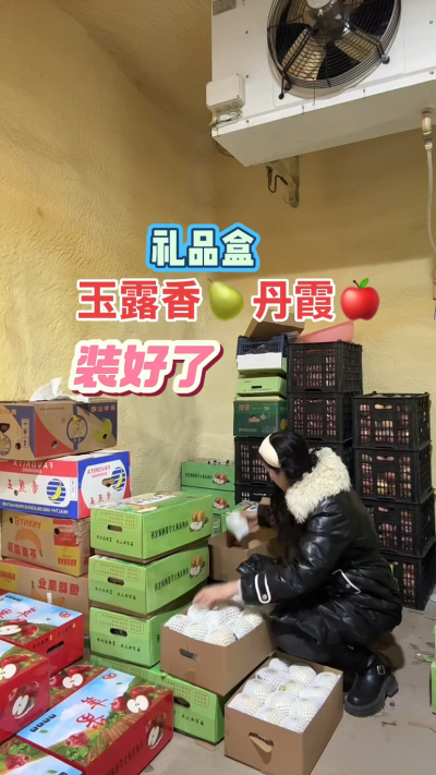 玉露香梨，丹霞苹果礼品盒