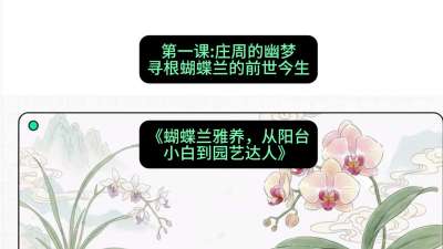 第一节：庄周的幽梦：寻根蝴蝶兰的前世今生，课程：《蝴蝶兰雅养六讲：从阳台小白到园艺达人》#识农AI