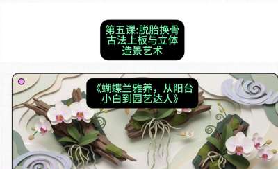 第五节：脱胎换骨：古法上板与立体造景艺术，课程：《蝴蝶兰雅养六讲：从阳台小白到园艺达人》#识农AI