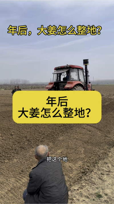 年后，大姜怎么整地？