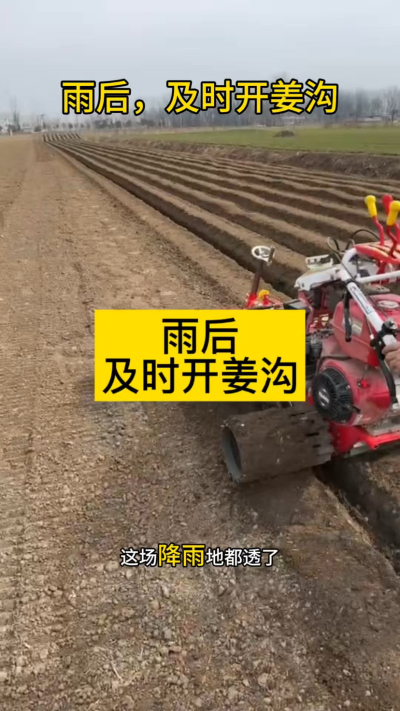 雨后，及时开姜沟！