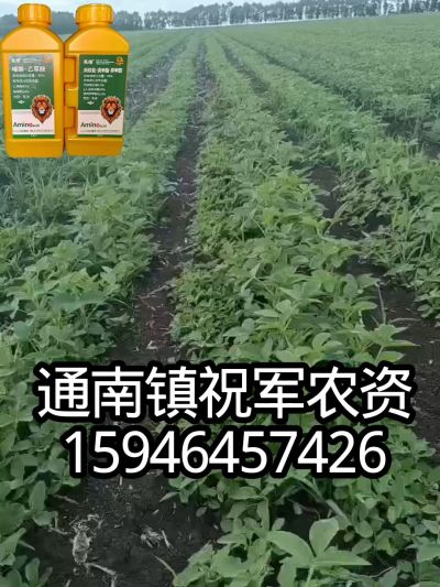 大豆苗前封闭，可封红根苋菜，灰菜，兰花菜，野豆子，捞豆秧等恶性杂草，封杀兼备的高端产品。