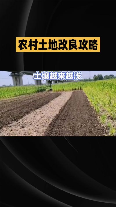 1. 先搞懂：你到底要改良哪块地、种什么
 
- 土土土在哪里？
就是你自家农田、菜地、果园，哪块地想种庄稼，就测哪块地的土。
​
- 有水没有水？
有水能浇：改良更省事，施肥、调酸碱都好操作。
没水