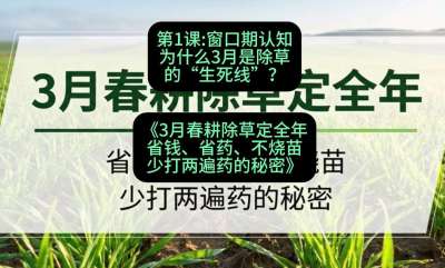 第1节：窗口期认知，为什么3月是除草的&ldquo;生死线&rdquo;？，课程：《3月春耕除草定全年：省钱、省药、不烧苗、少打两遍药的秘密》