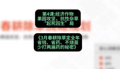 第4节：经济作物果园攻坚，抗性杂草&ldquo;起死回生&rdquo;局，课程：《3月春耕除草定全年：省钱、省药、不烧苗、少打两遍药的秘密》